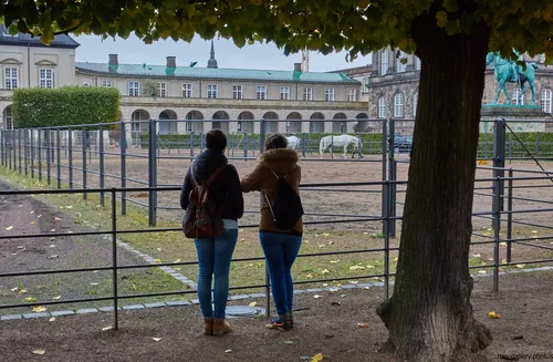 The photograph, taken in the late morning of autumn, depicts the Copenhagen stables with two people standing near a metal fence, observing the grounds. This urban scene features animals, specifically two white horses in the central paddock area. Architectural elements of historic Copenhagen buildings are visible in the background, including the equestrian statue often associated with the city’s royal district. The presence of fallen leaves and people dressed in warm clothing provide additional indication of the autumn season. This is an urban photograph that highlights the daily life and architecture of Copenhagen, incorporating people, animals, and horses as part of the scene’s main subject.